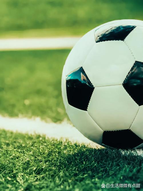 足球爱好者使用即时比分平台